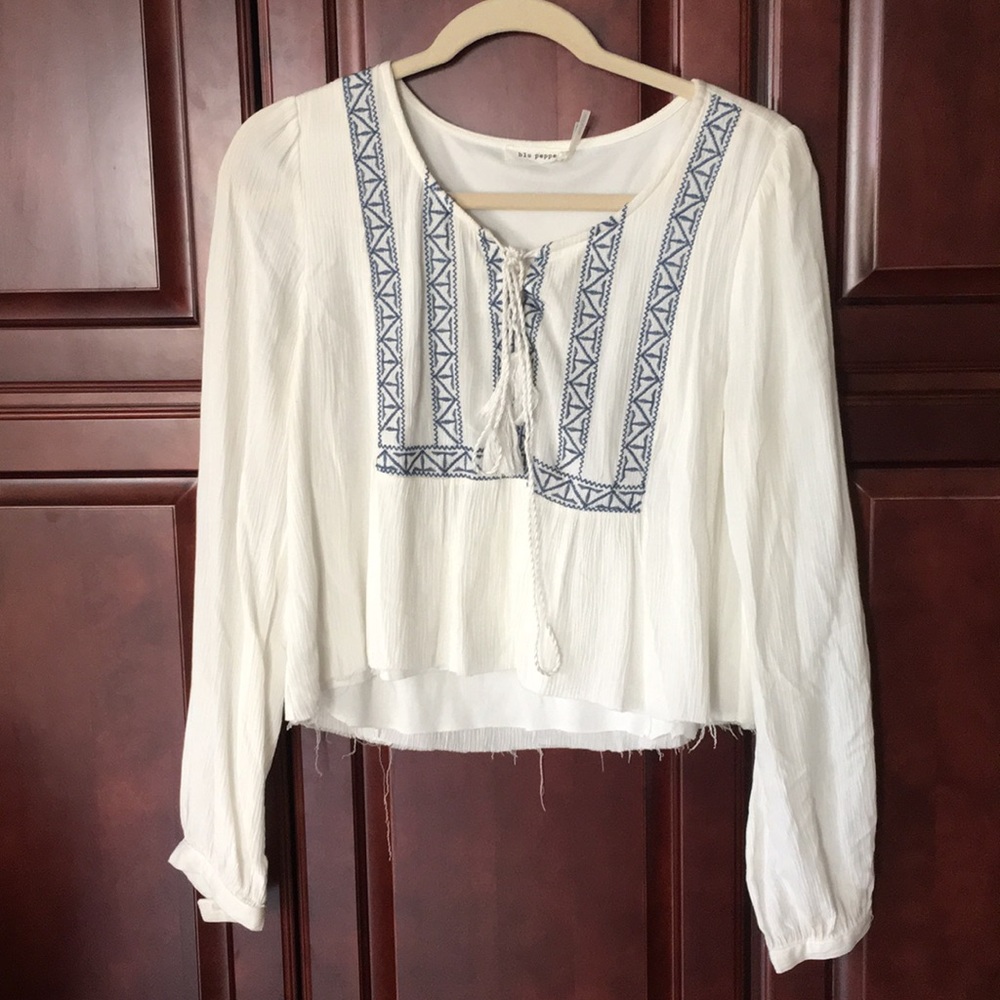 embroidered blouse